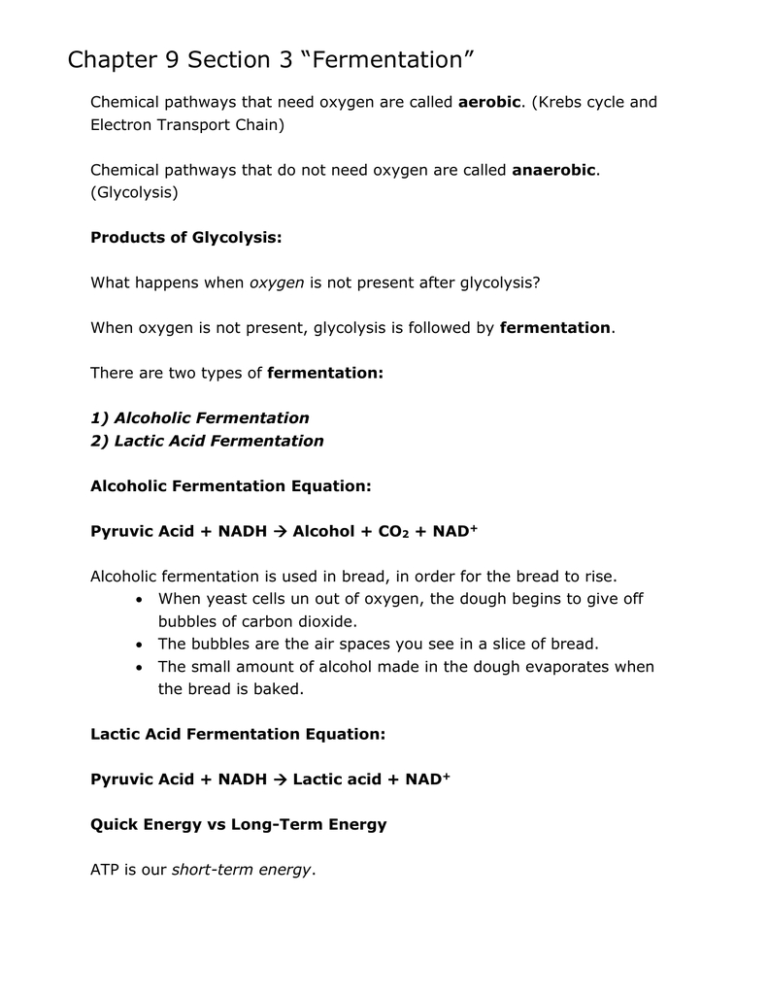 chapter-9-energy-in-a-cell-worksheet-answer-key-db-excel