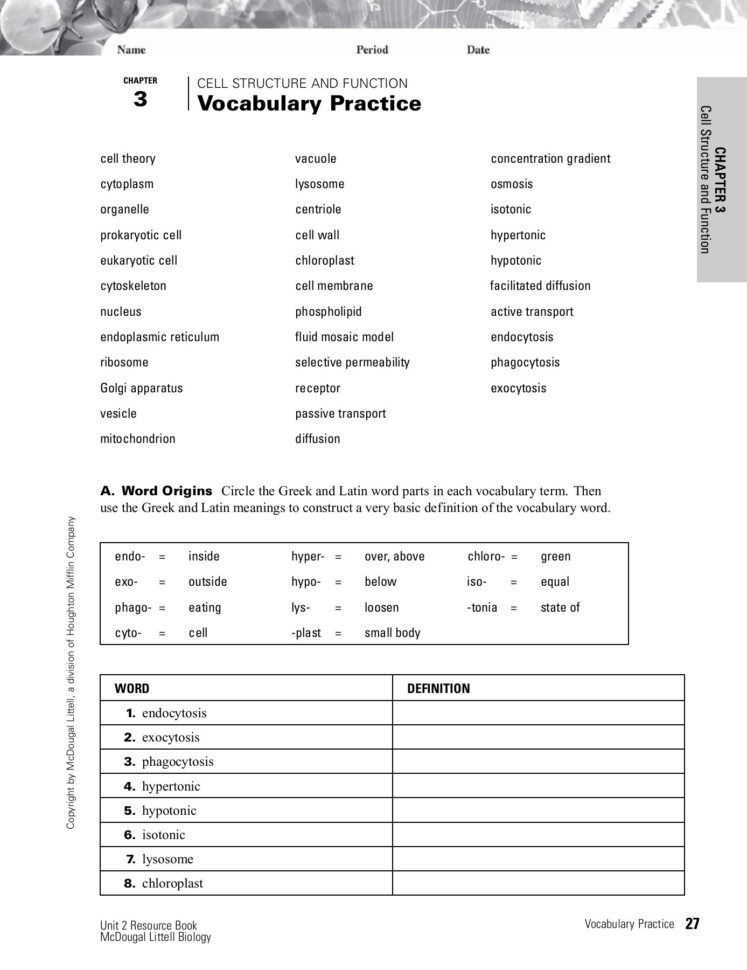 Chapter Cell Structure And Function 3 Vocabulary Practice