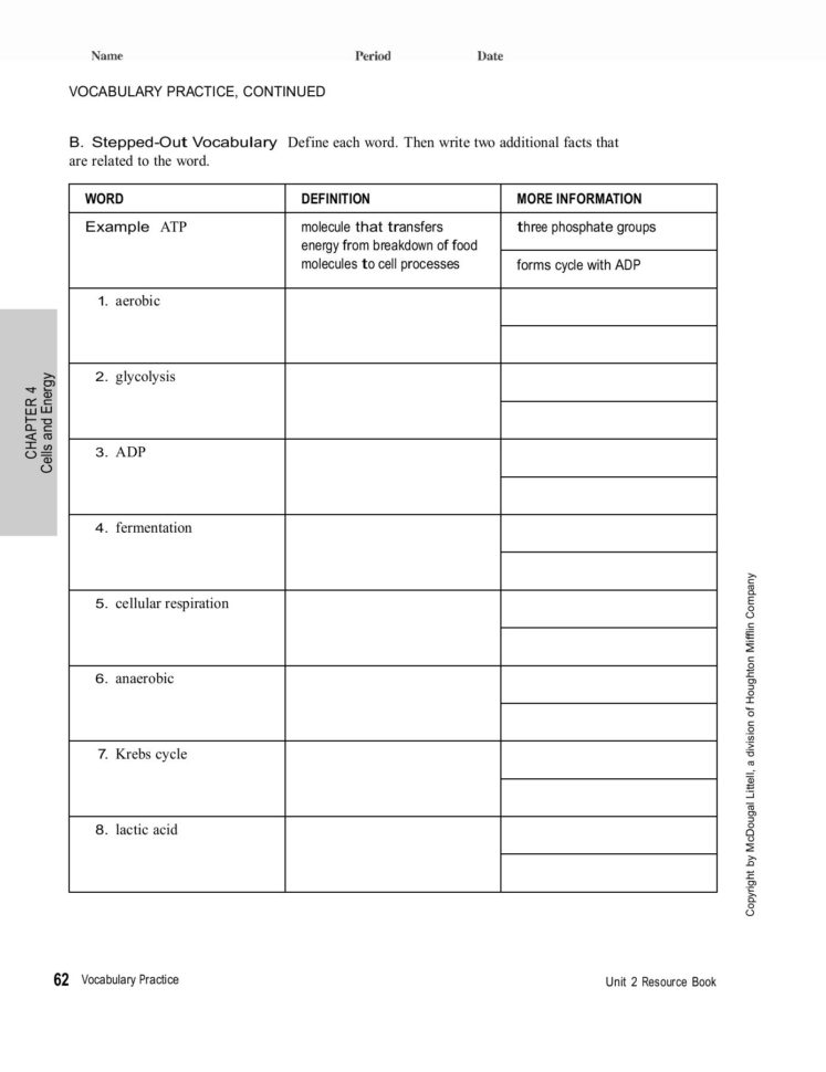 Chapter Cells And Energy 4 Vocabulary Practice Pages 1  3