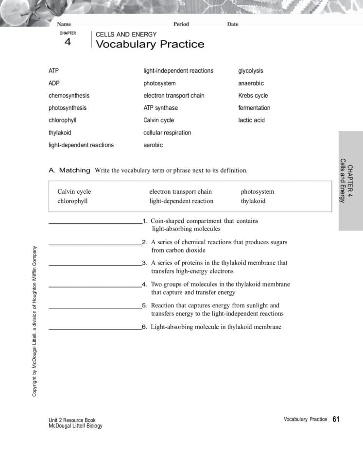 Chapter Cells And Energy 4 Vocabulary Practice Pages 1  3