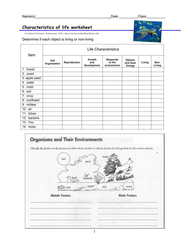 Characteristics Of Life Worksheet | db-excel.com