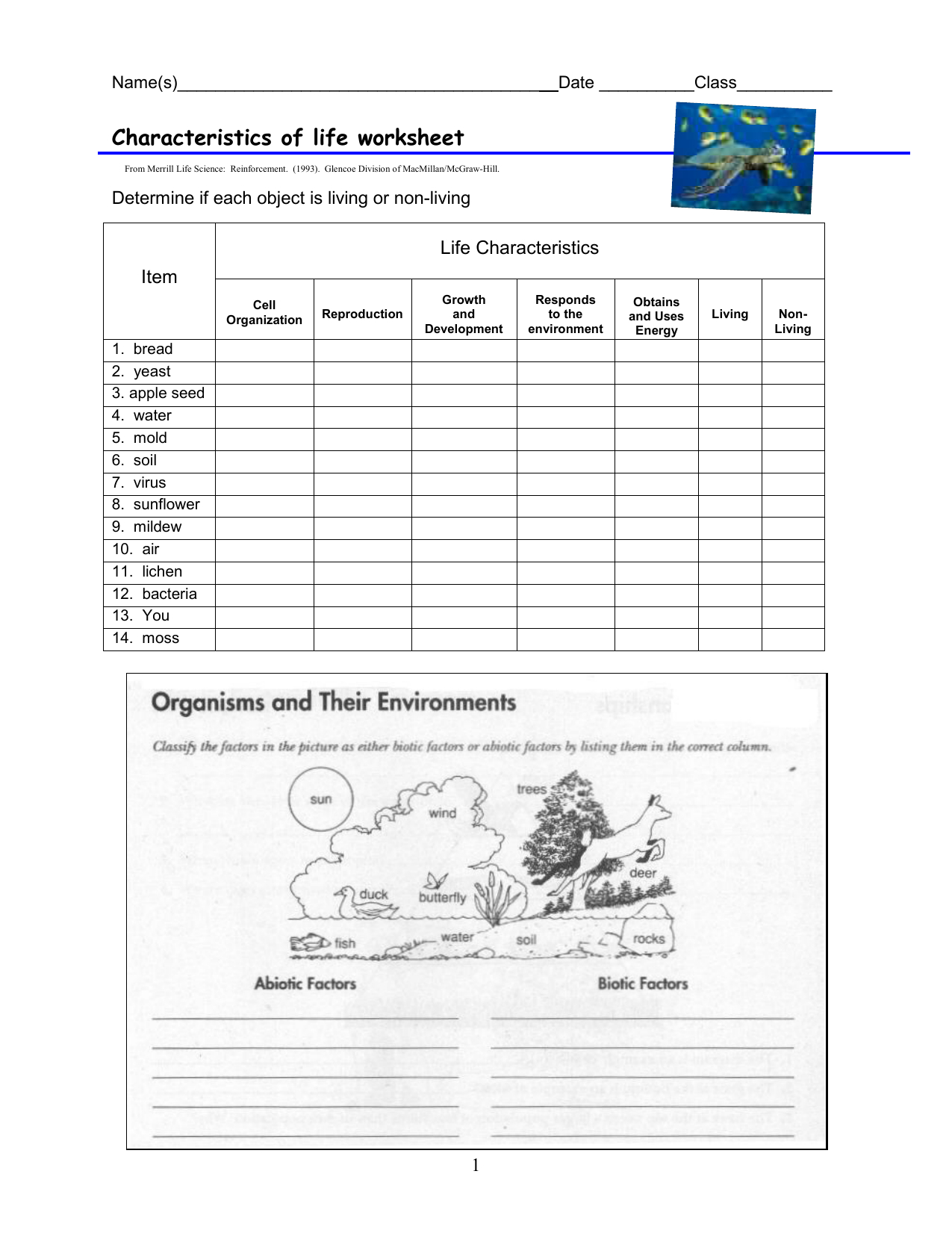 Characteristics Of Life Worksheet Db excel