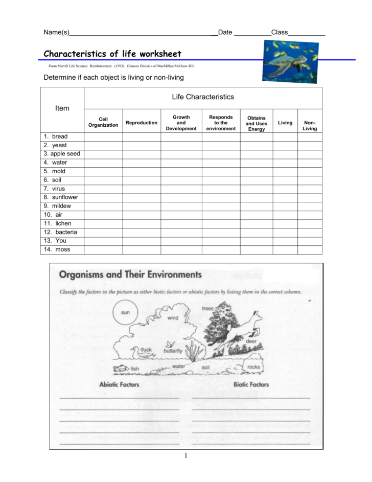 Characteristics Of Bacteria Worksheet Answers