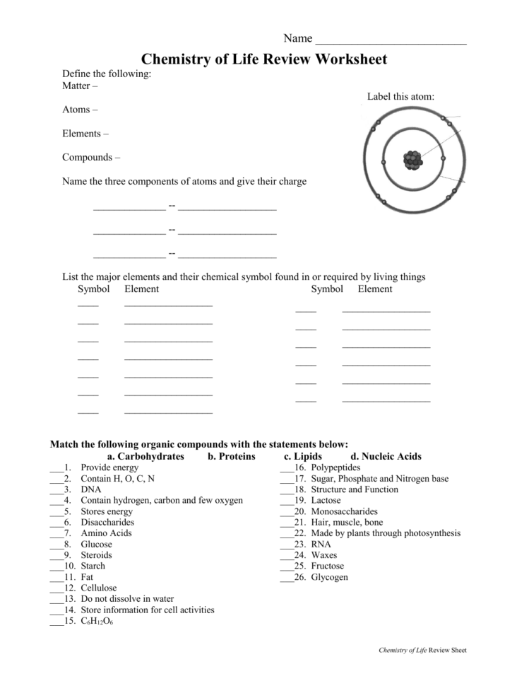 Chemistry Of Life Review Worksheet
