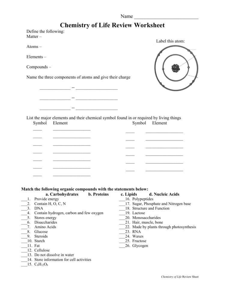 Chemistry Of Life Review Worksheet
