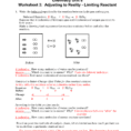 Chemistry Unit 8 Worksheet 3 Adjusting To Reality