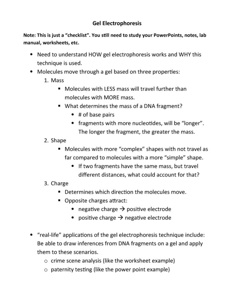 Chp 8  Gel Electrophoresis  Review Sheet  Biology 1406