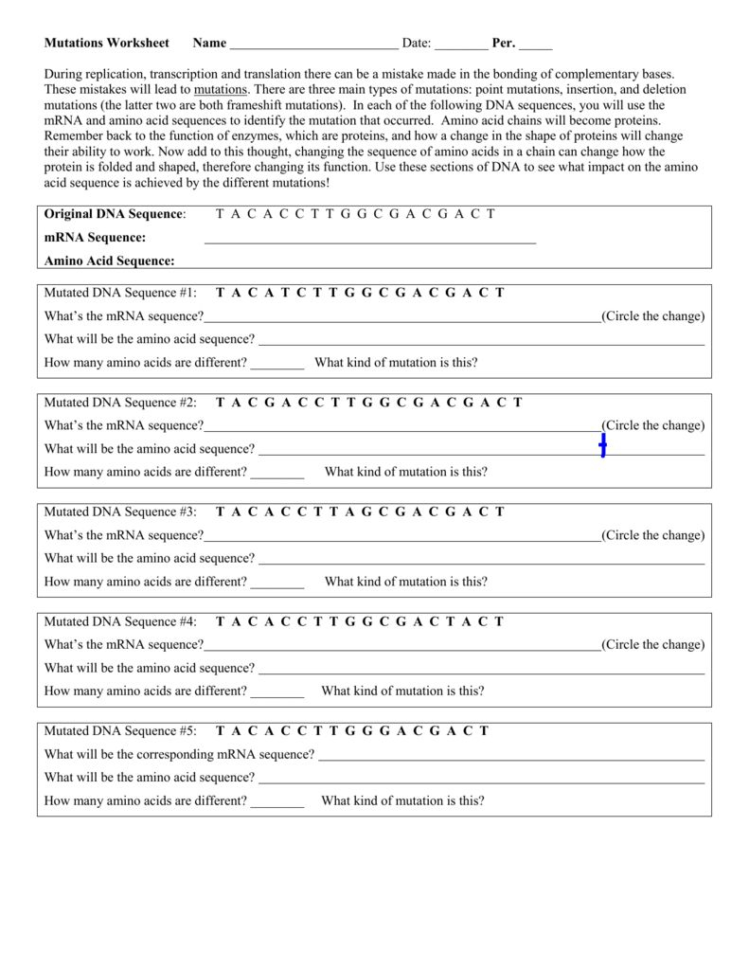 Chromosomal Mutations Worksheet