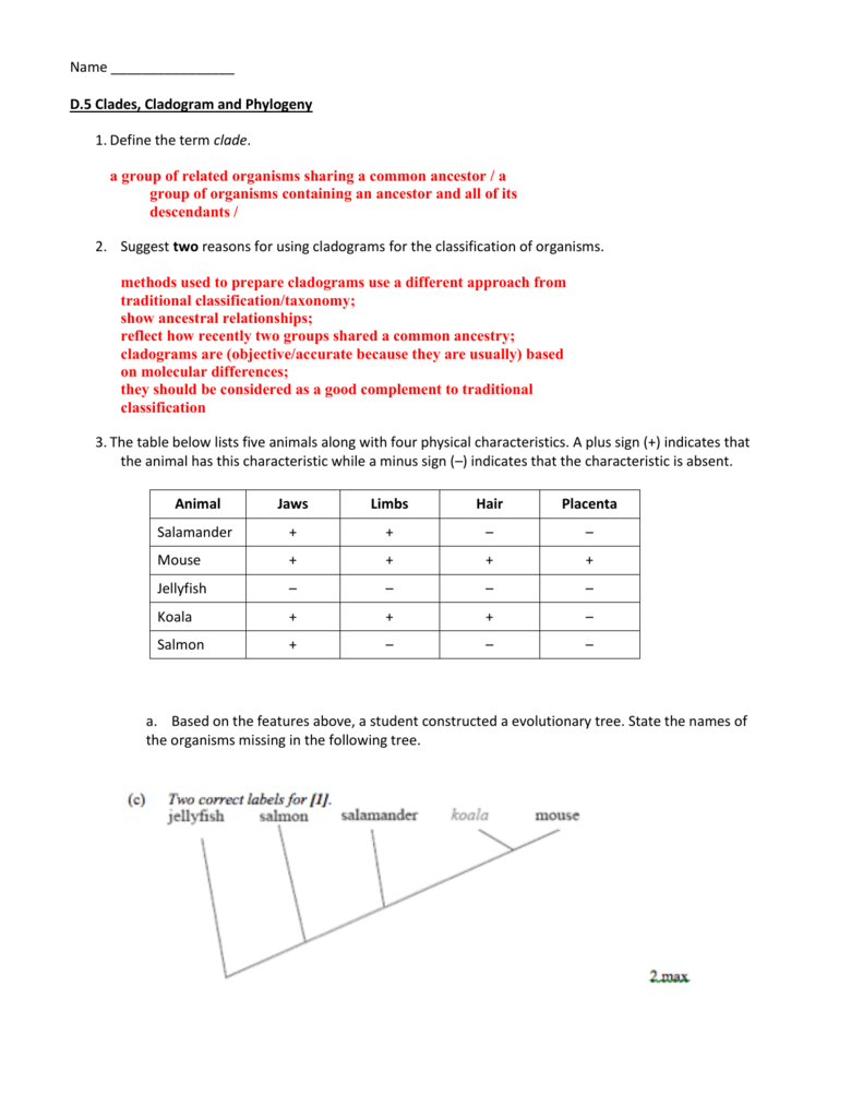 cladogram-worksheet-answers-db-excel