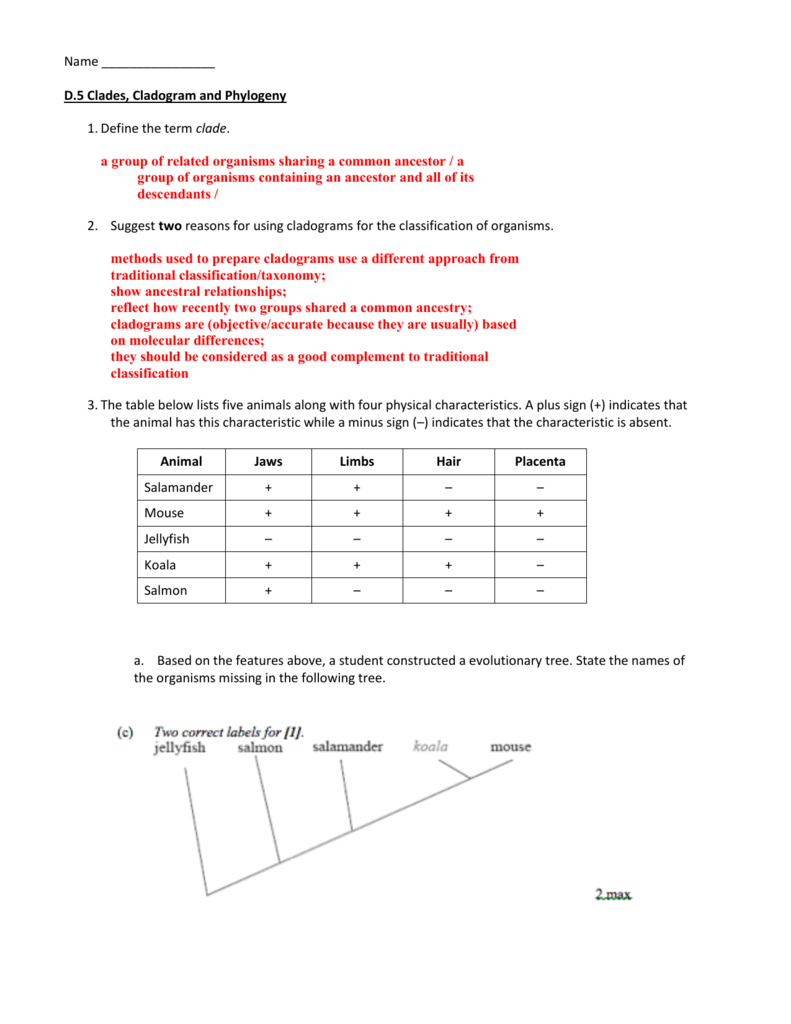 Cladogram Worksheet Answers Db excel