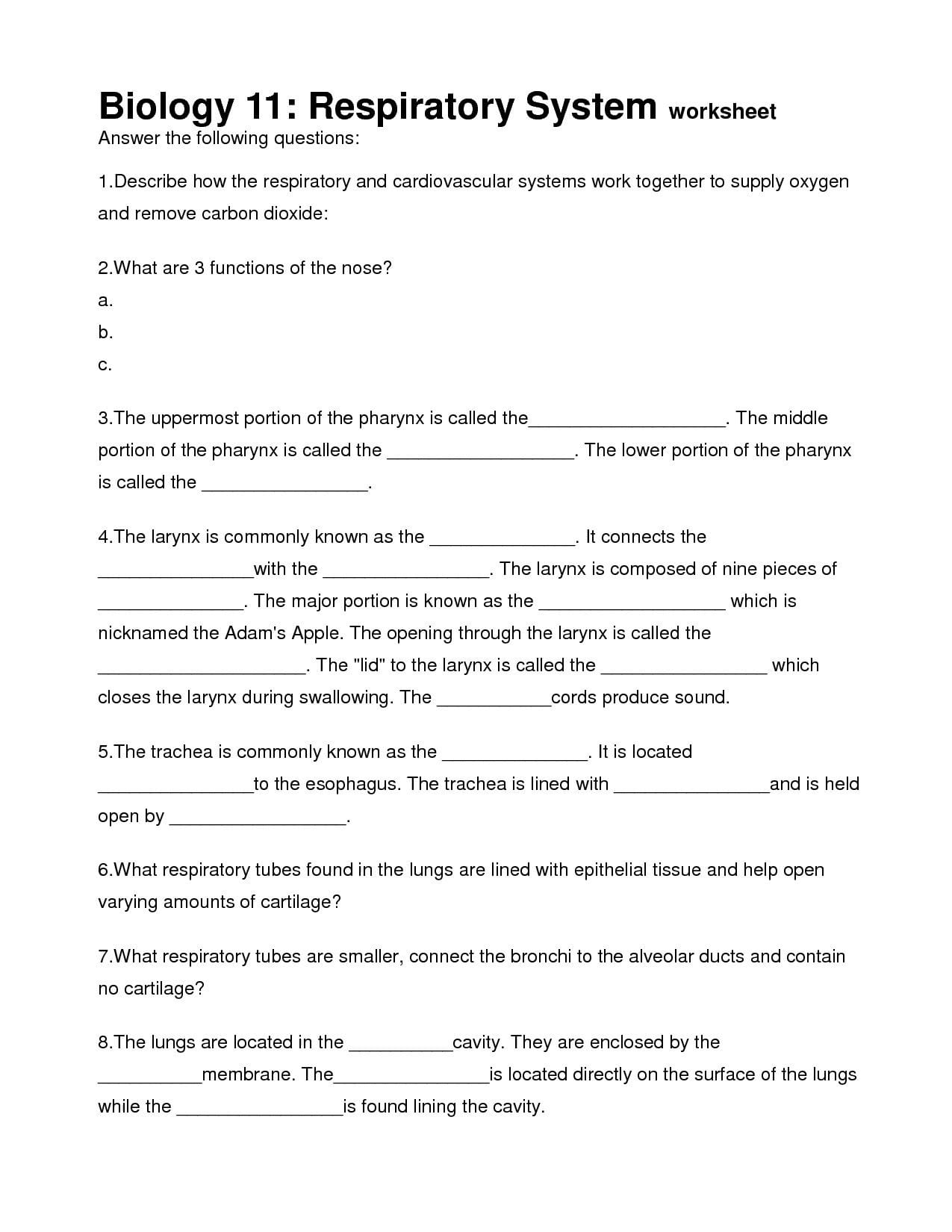 16-best-images-of-the-respiratory-system-worksheet-answers-respiratory-system-worksheet