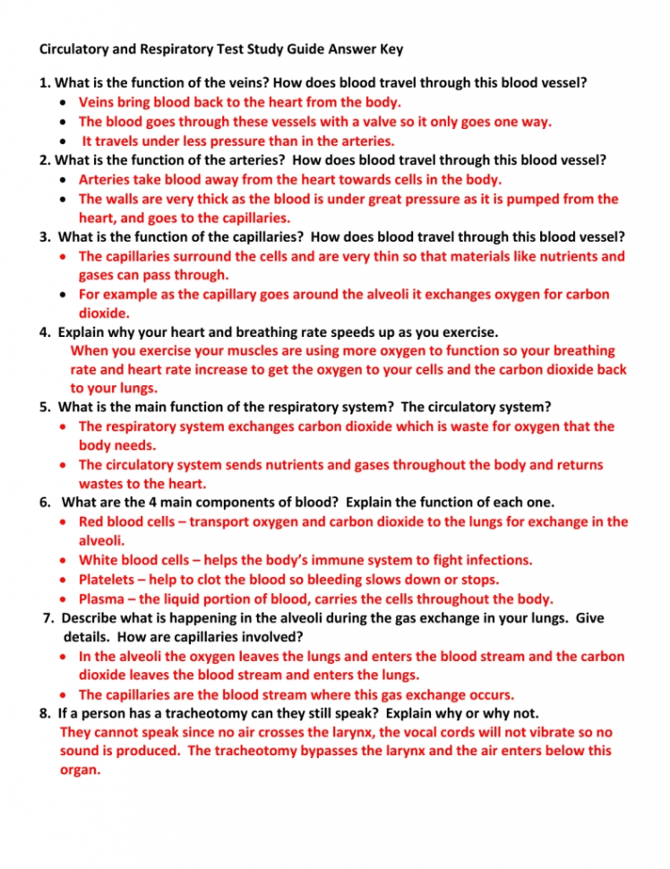 Circulatory System Major Parts
