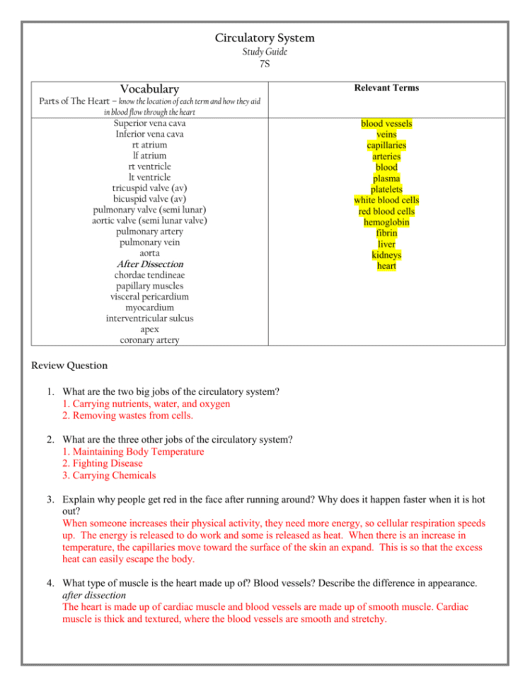 Circulatory System Study Guide  7S Key