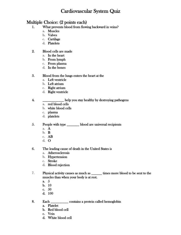 Circulatory System Study Questions Worksheet