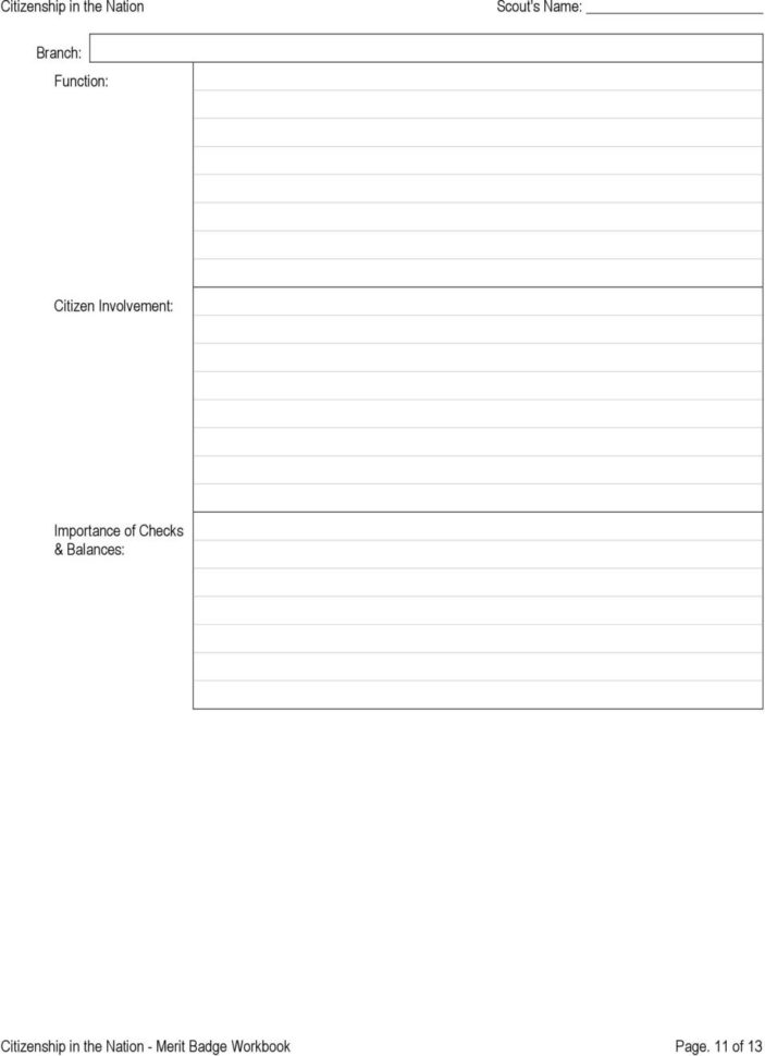 Citizenship In The Nation Merit Badge Workbook  Pdf