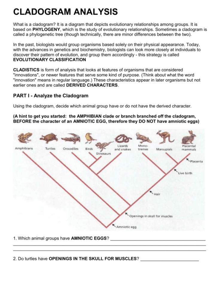 making-a-cladogram-worksheet-answers-printable-worksheet-template