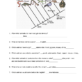 Cladogram Practice