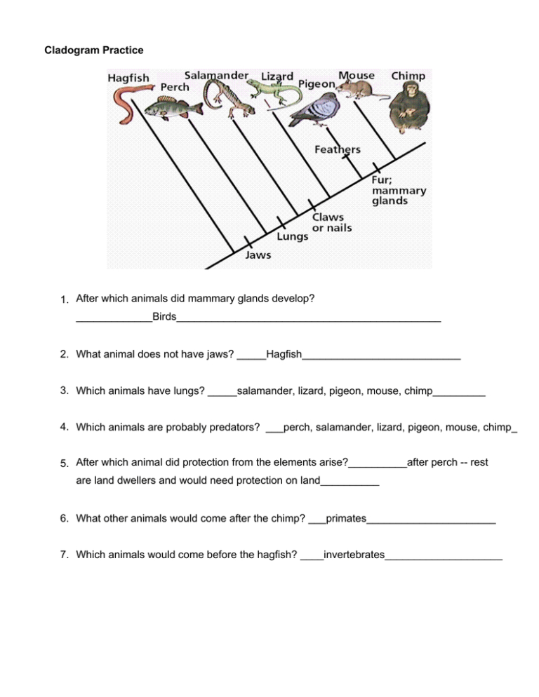 Cladogram Practice — db-excel.com