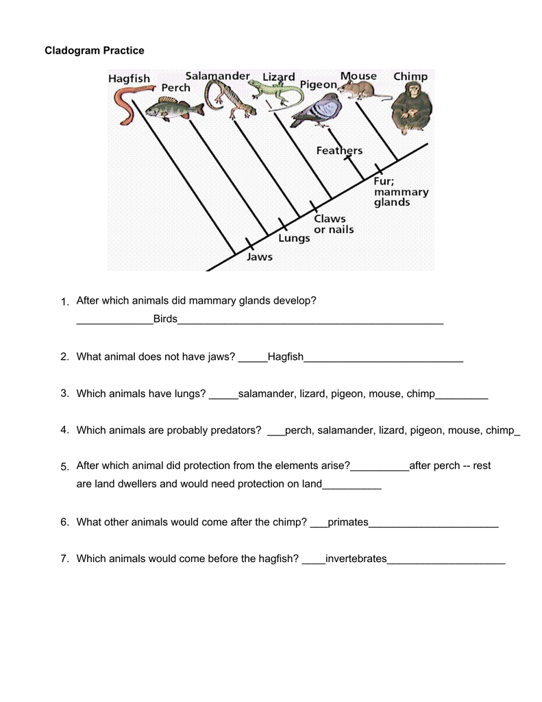 Cladogram Worksheet Data Table Answers