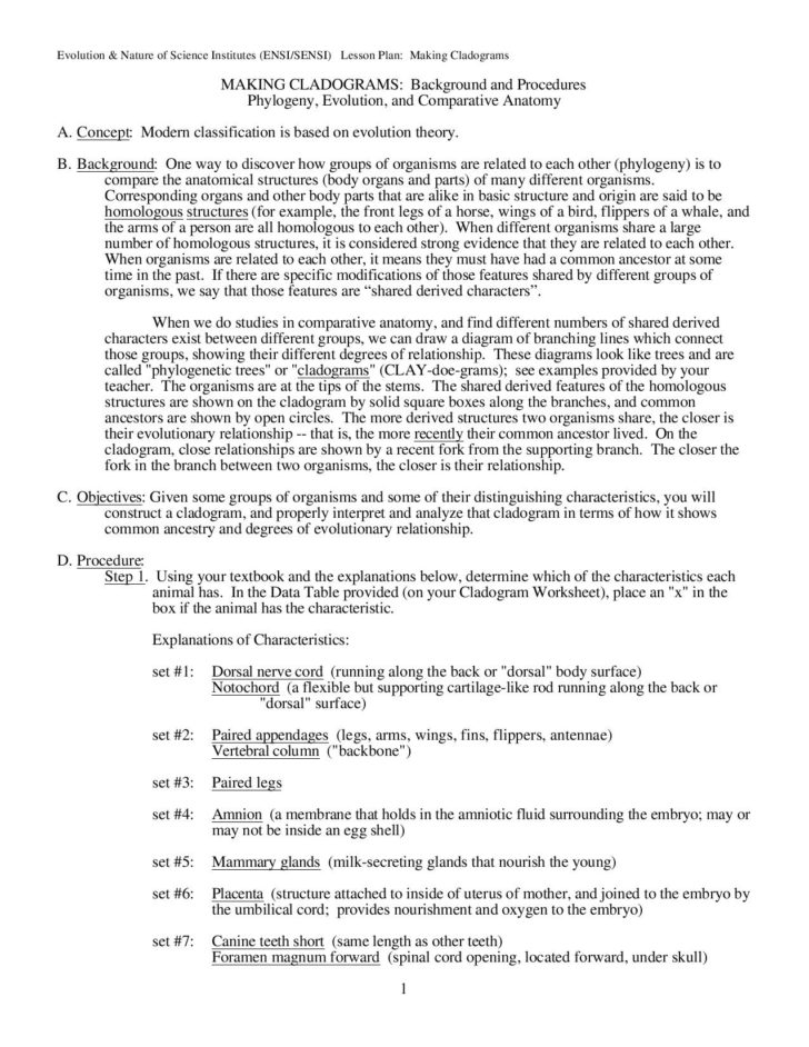 Cladogram Worksheet Answers