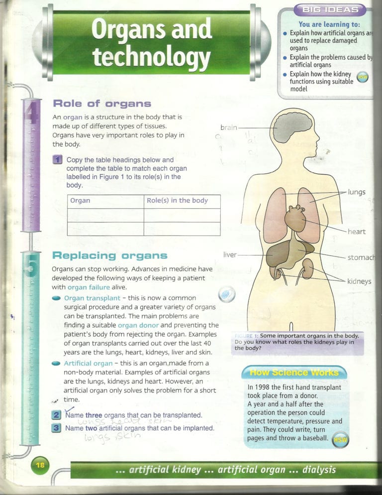 Science Worksheets For Grade 7 — Db-excel.com