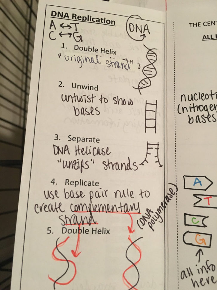 Class Notes 1718  Ms Raeon's Biology Website
