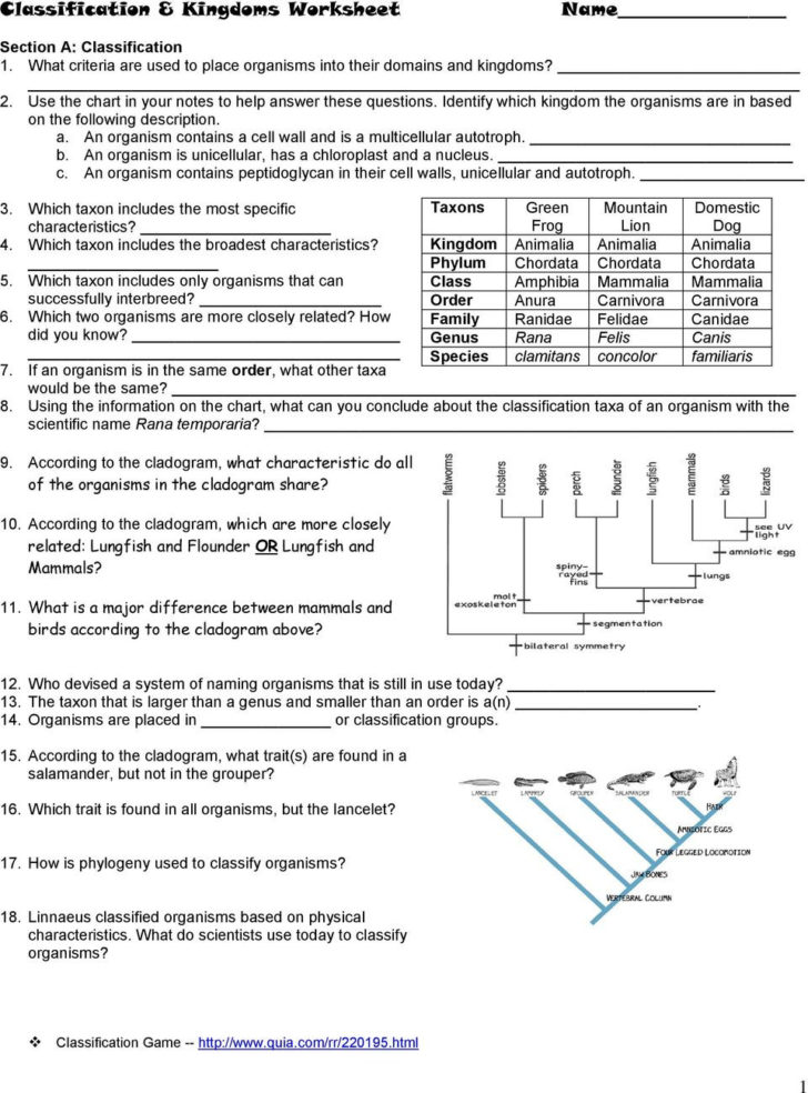 Kingdom Classification Worksheet Answers