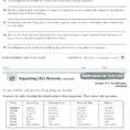 Classification Living Things Worksheet Living Or Non Living