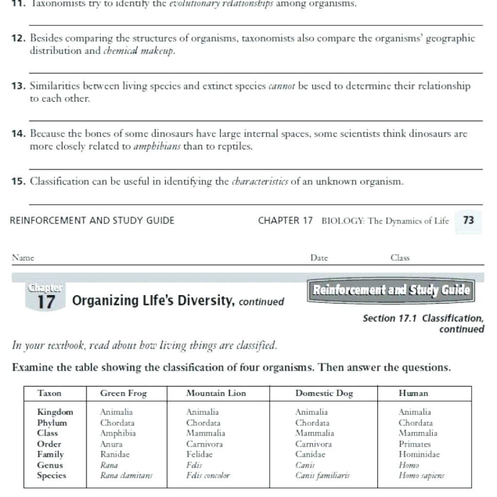 Kids Worksheet Programming Tutorial 8Th Grade Math Final — db-excel.com