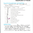 Classification Of Tissues Answers  Bsc 2085C  Studocu