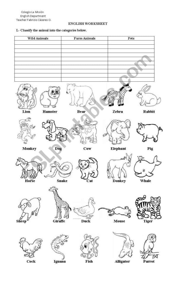 Classify The Animals  Esl Worksheetkornzaru