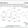 Classifying Animals Worksheet 3Rd Grade Grade Worksheet On