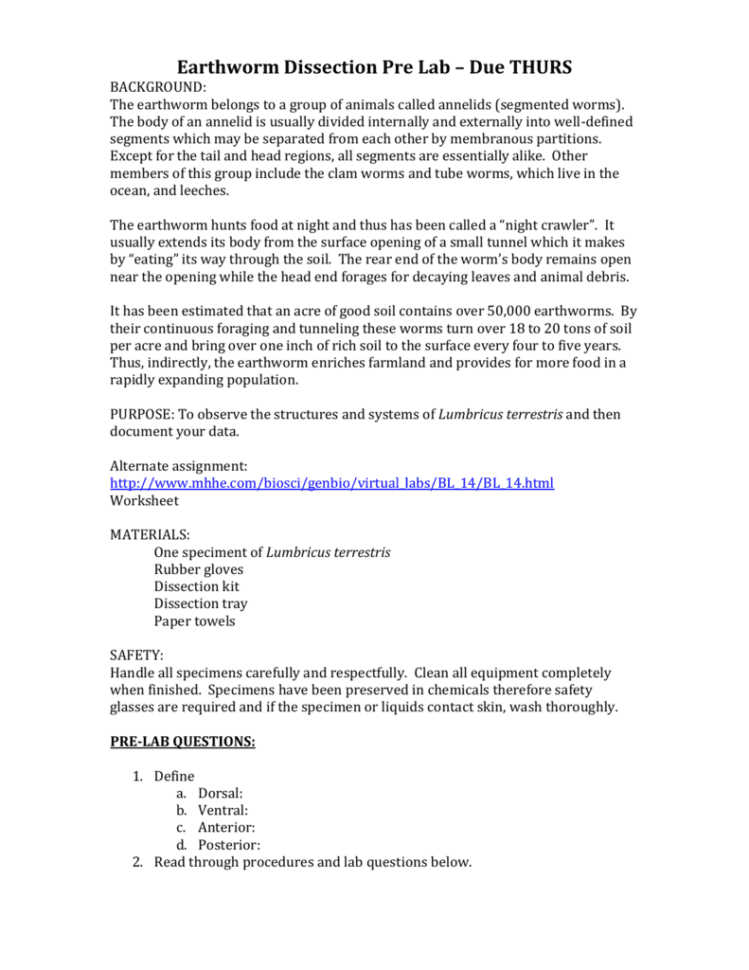 Click Here For The Earthworm Dissection Prelab