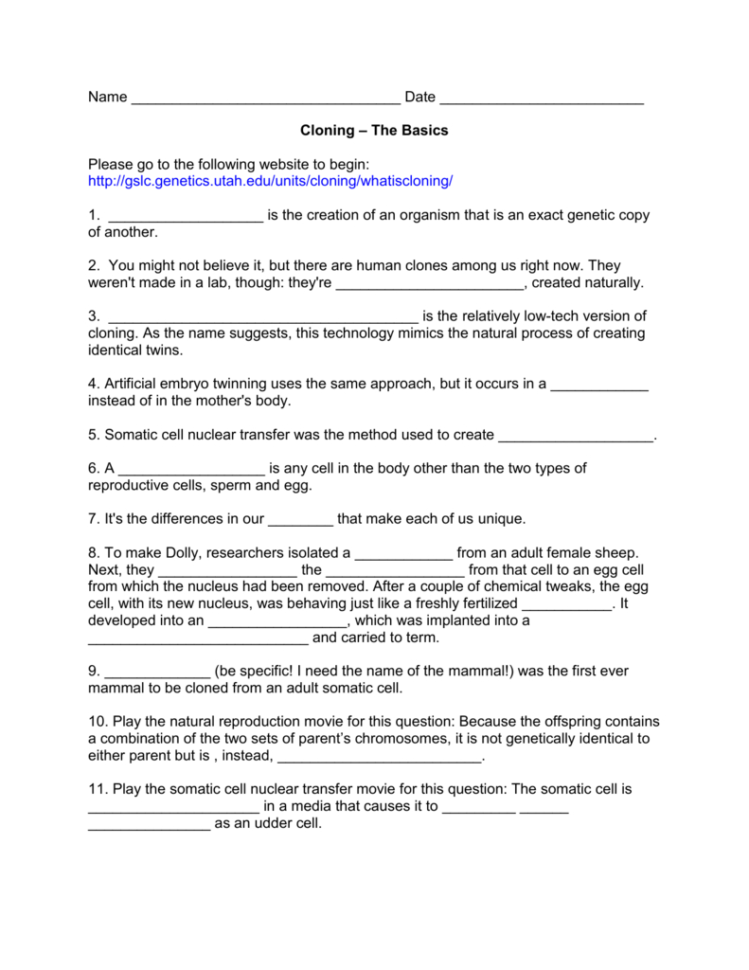 Cloning – The Basics