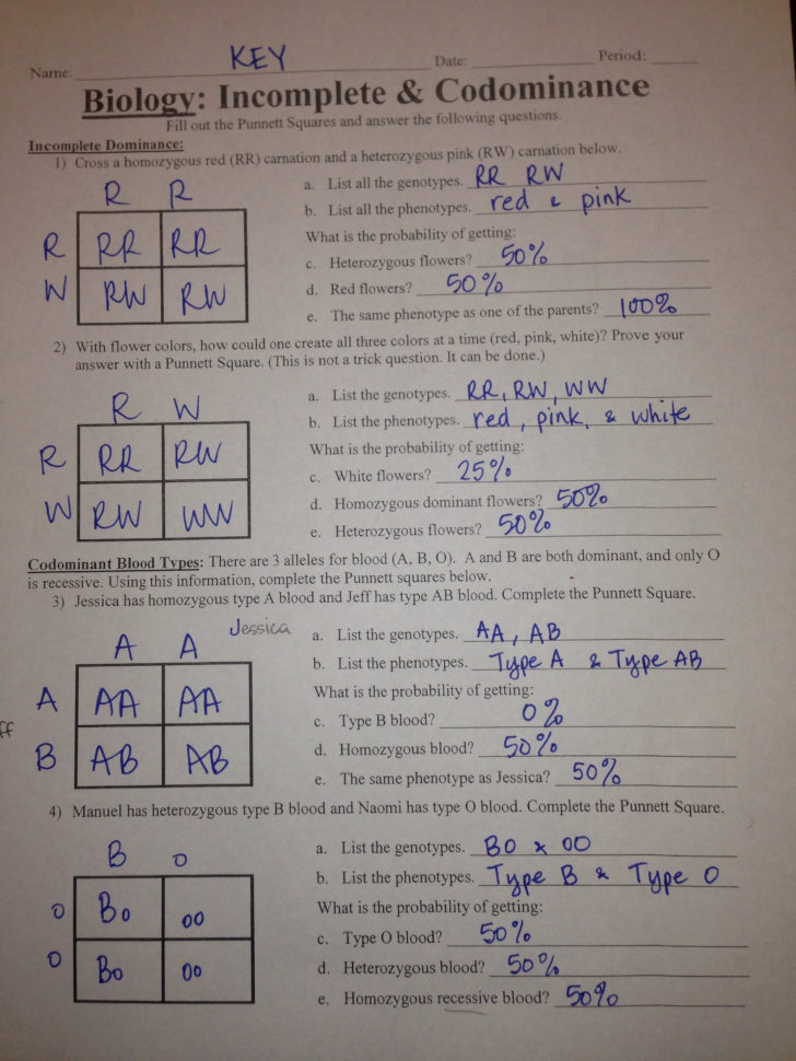 Incomplete And Codominance Worksheets Answer