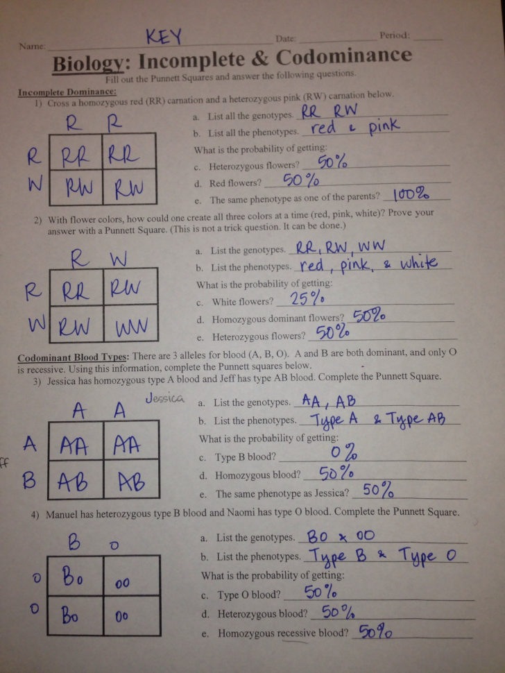 Incomplete And Codominance Traits Worksheet