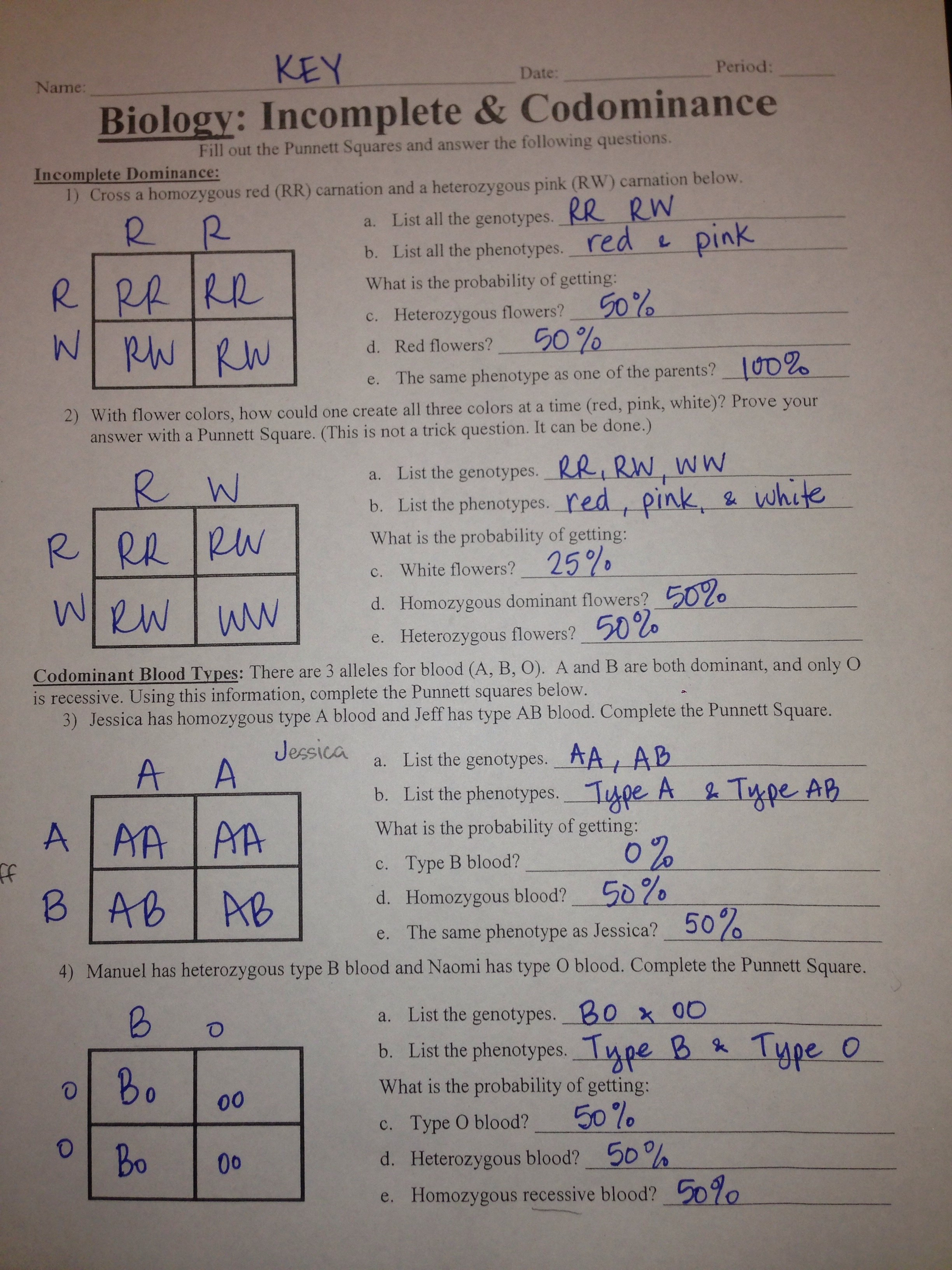 Blood Types Multiple Alleles And Codominance Worksheet Answers