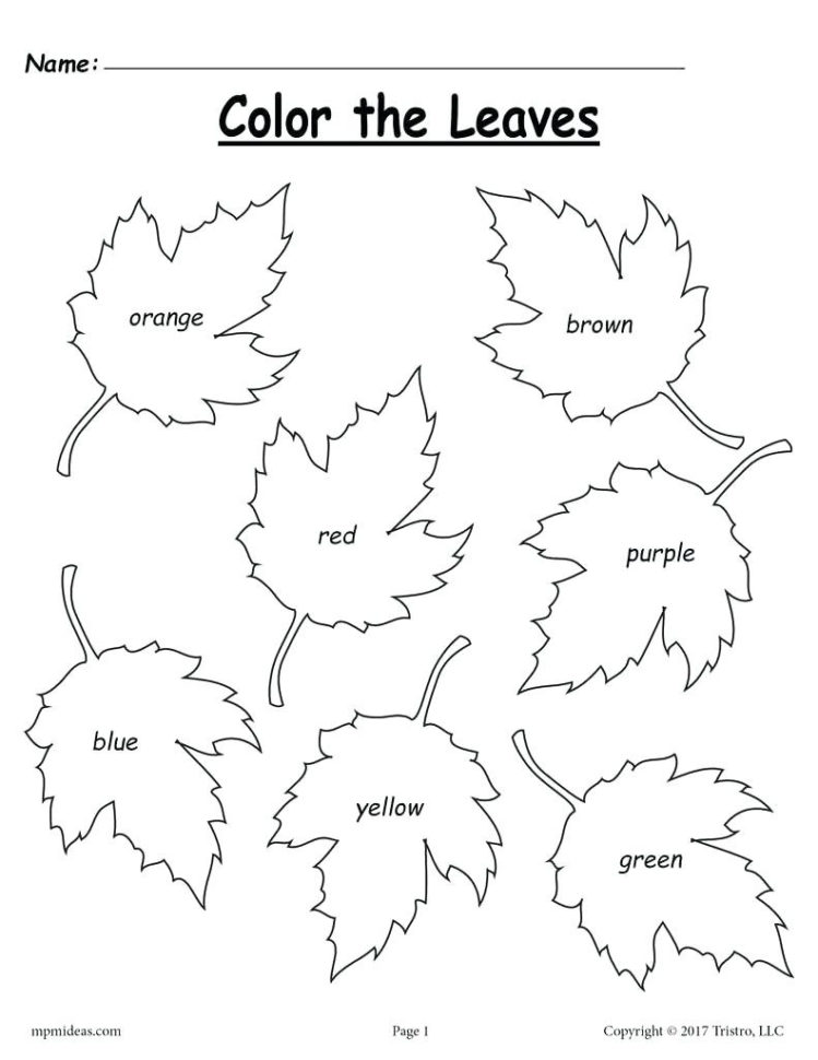 Color Brown Worksheets Printable Numbers Coloring Pages For