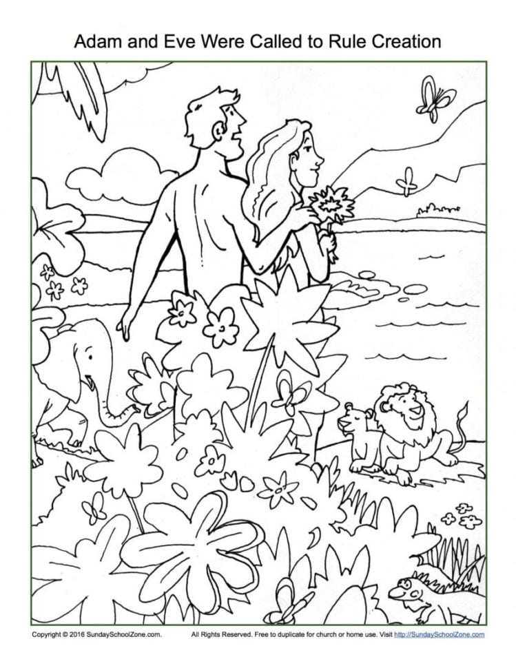 Coloring Adam And Eve Were Called To Rule Creation Coloring