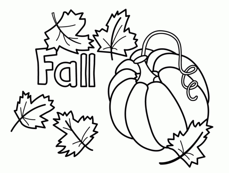 Fall Worksheets For Preschool