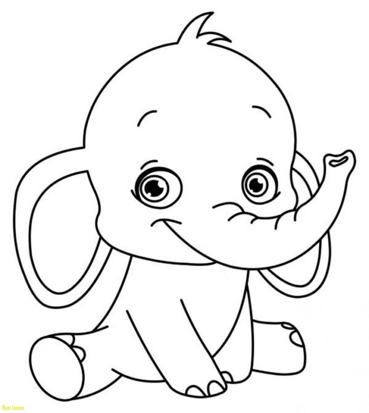 Coloring Worksheets For Preschool
