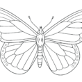 Coloring Ideas  Monarch Butterfly Coloring Page Free