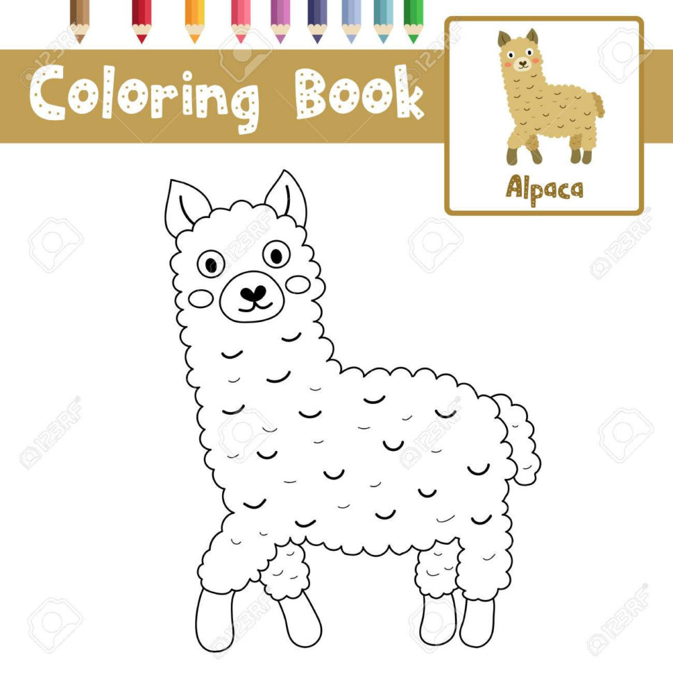 Coloring Page Of Brown Alpaca Animals For Preschool Kids Activity
