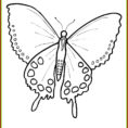 Coloring Painted Lady Butterfly Coloring Page New Monarch