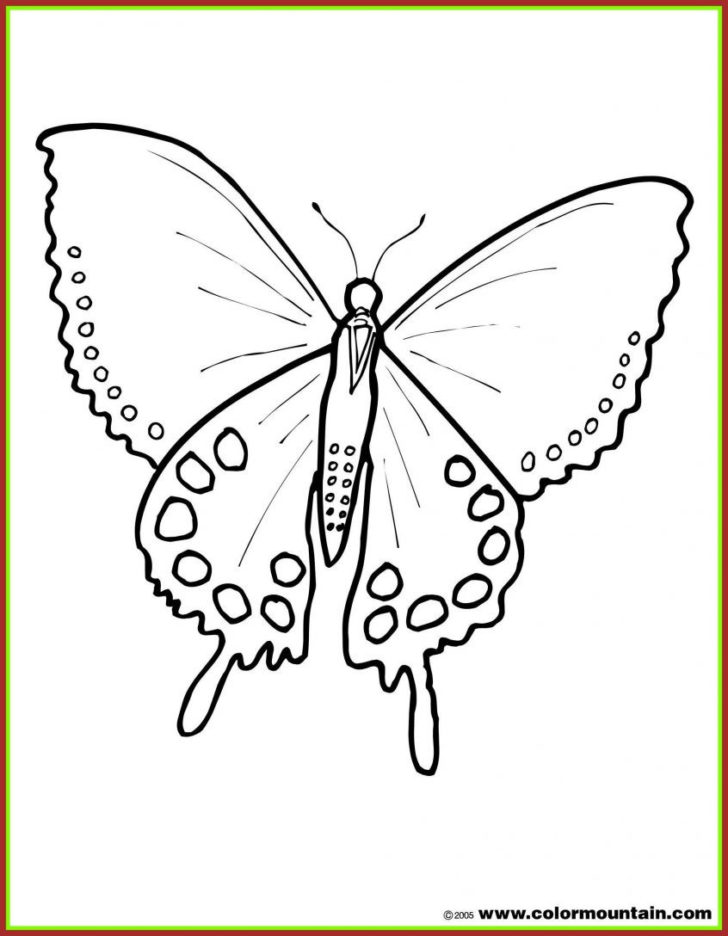 Coloring Painted Lady Butterfly Coloring Page New Monarch — db-excel.com