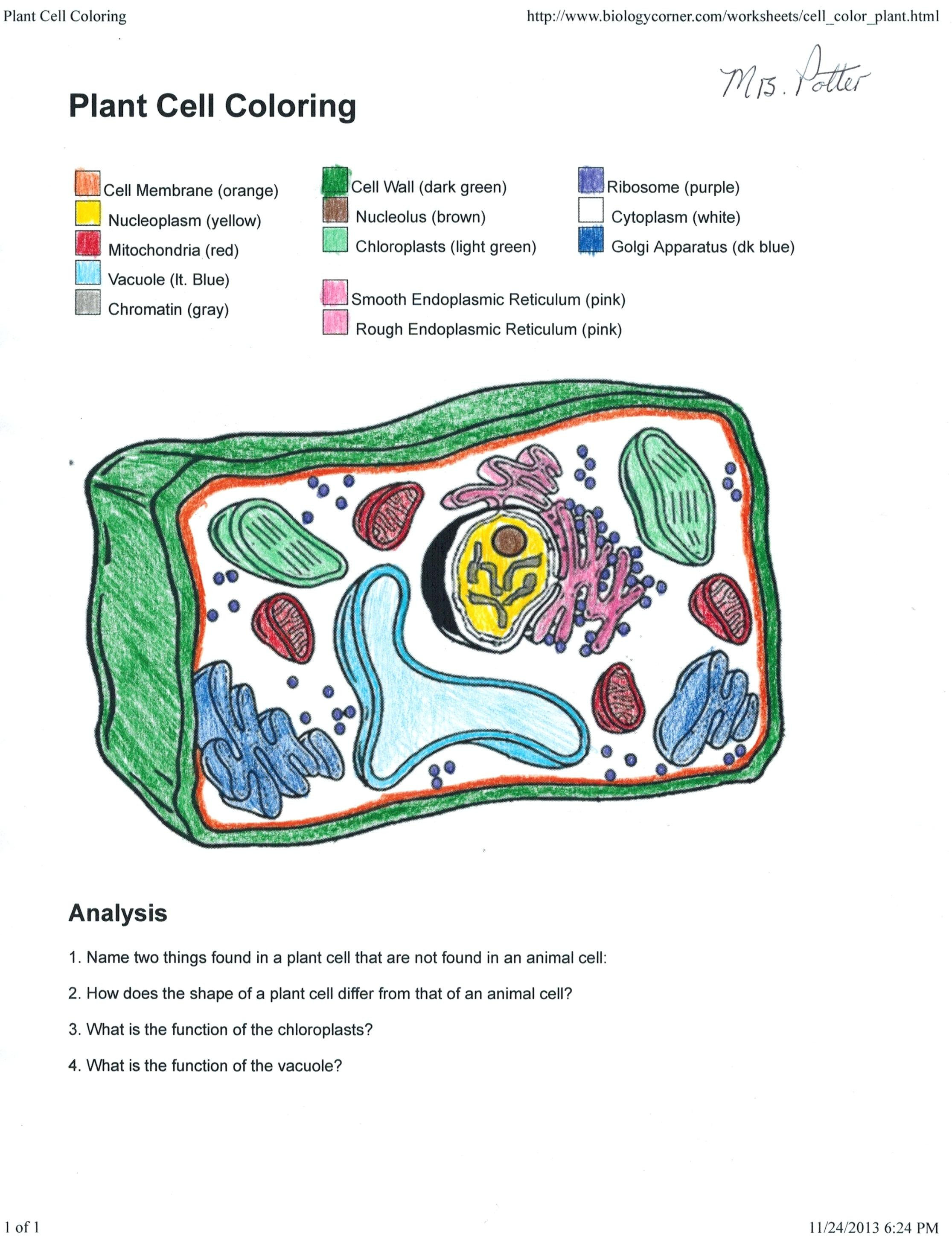Printable Plant Cell Coloring Worksheet