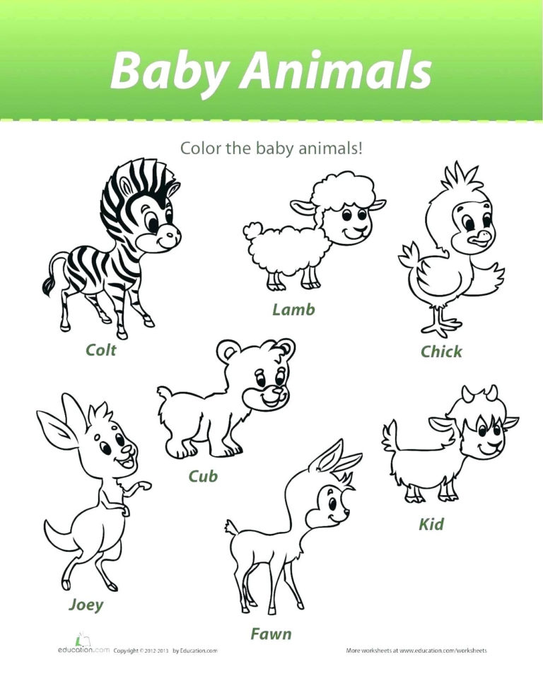 Coloring Sheets Baby Animals – Appliedprintco