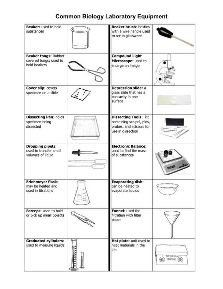 Common Laboratory Equipment Worksheet