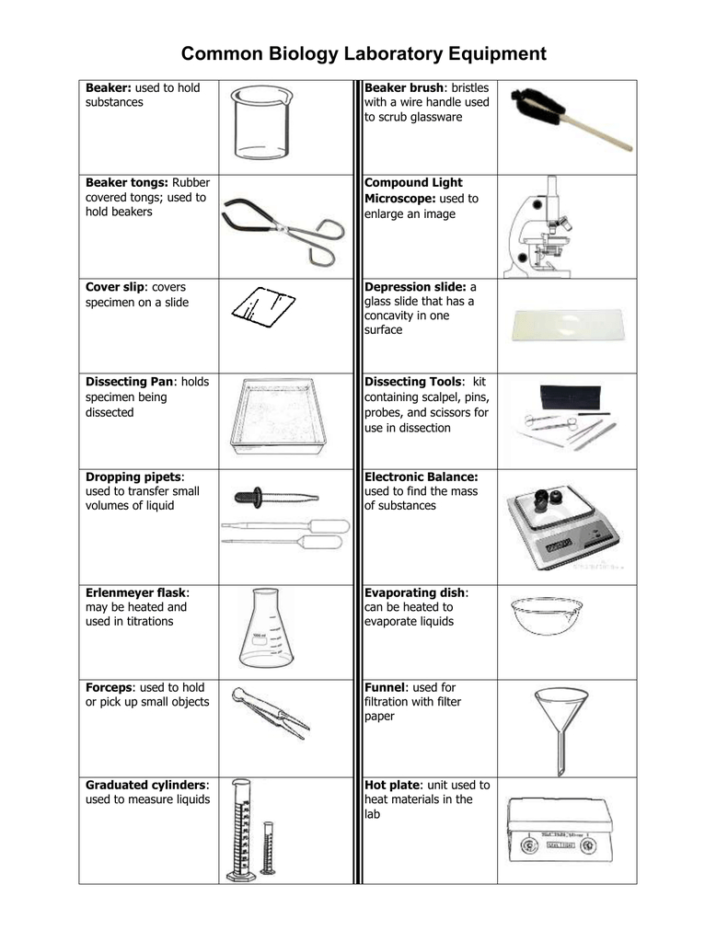 laboratory-apparatus-worksheet-db-excel