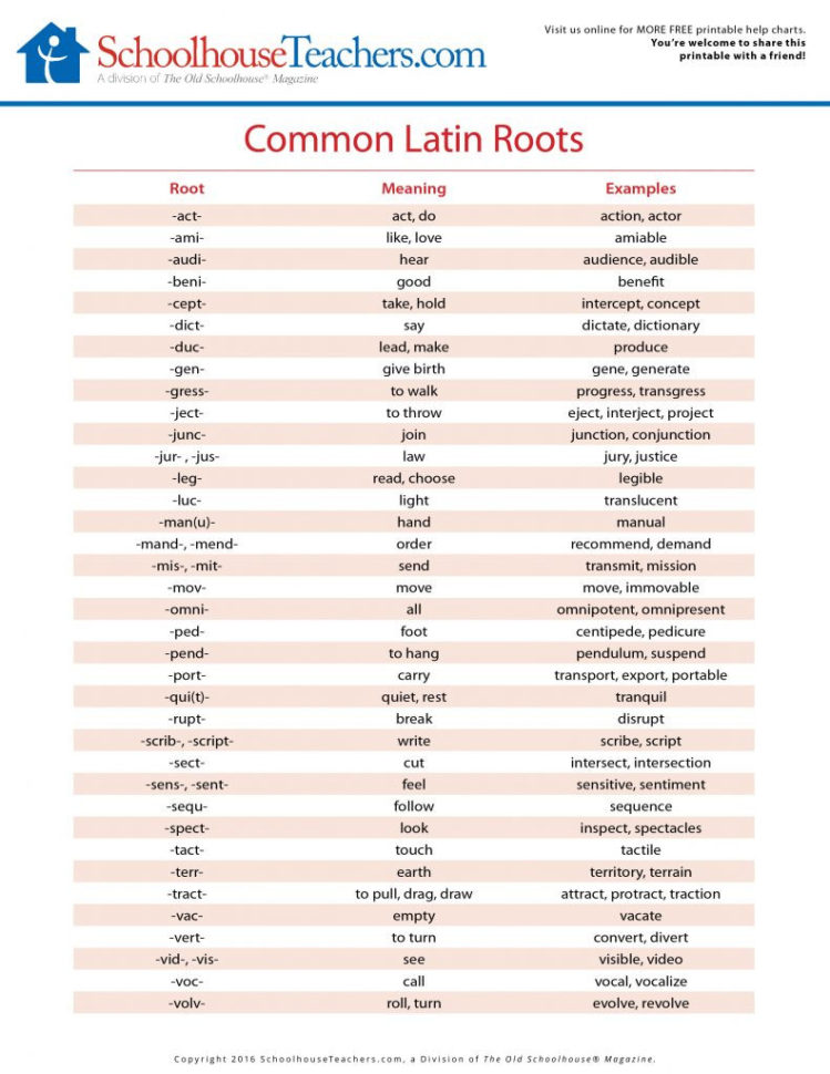 Common Latin And Greek Roots List  Fascinating Historical Writing Facts